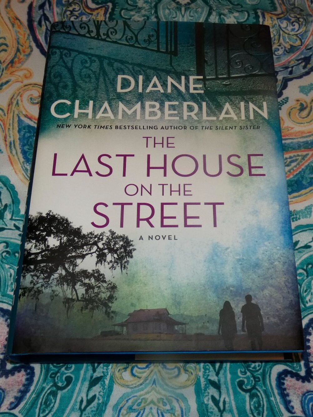 The Last House on the Street by Diane Chamberlain